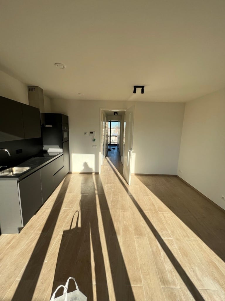Modern kitchen with light wood flooring, black cabinetry, and open doorway leading to a bright hallway