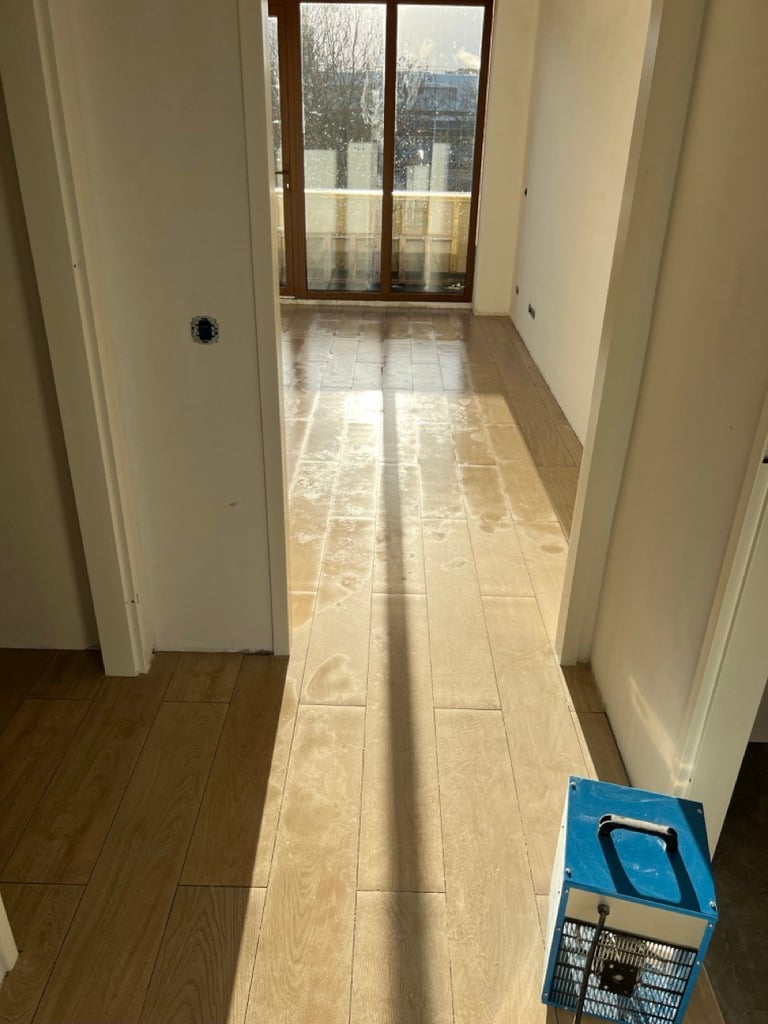 Hallway with light wood flooring, white walls, brown wooden doors with glass panels, and a blue crate on the floor